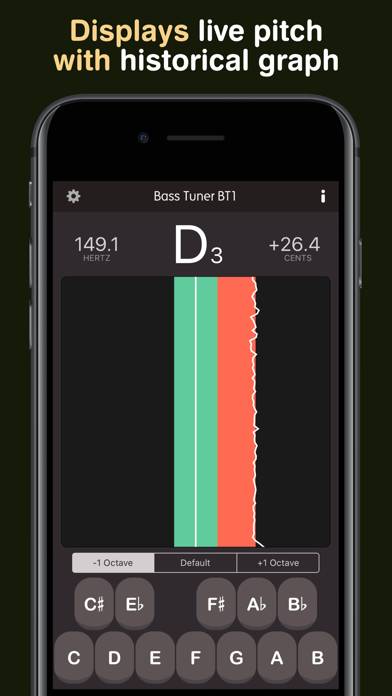 Bass Tuner BT1 Pro App skärmdump #5