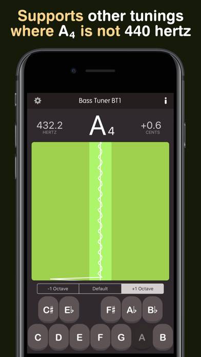 Bass Tuner BT1 Pro App skärmdump #6