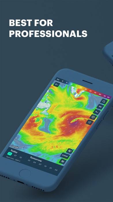 Windy Pro: marine weather app Capture d'écran de l'application #1