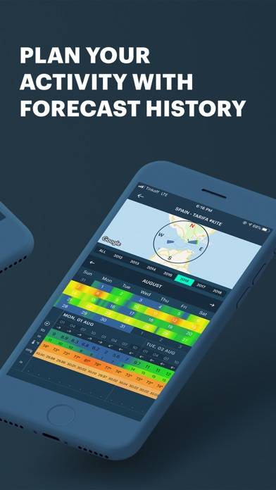Windy Pro: marine weather app Uygulama ekran görüntüsü #5