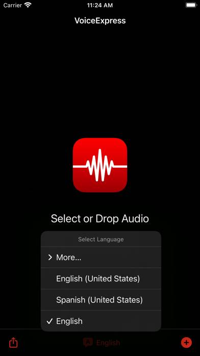 VoiceExpress: Audio to Text Capture d'écran de l'application #3