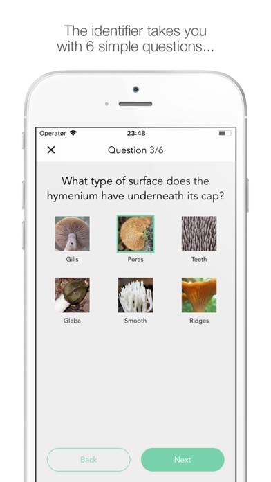 Mushy: Complete Mushroom Guide App skärmdump #4