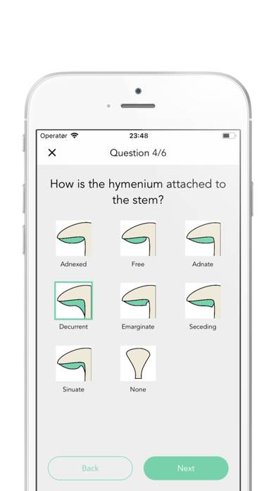 Mushy: Complete Mushroom Guide App skärmdump #5