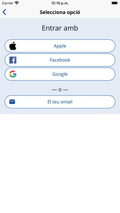 El Consell captura de pantalla