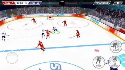 Hockey All Stars App skärmdump #2