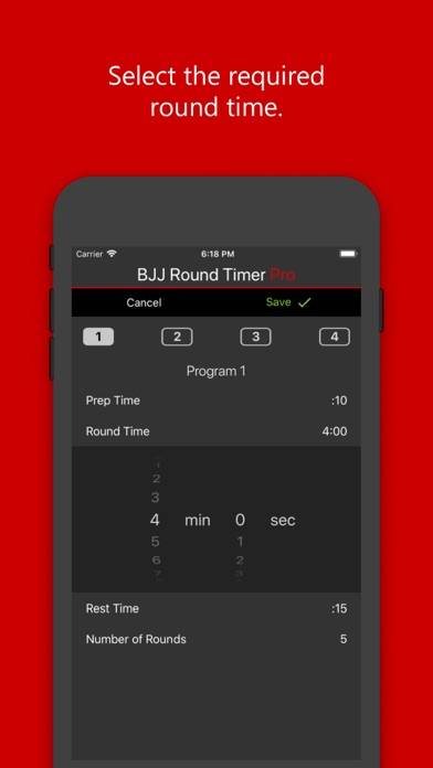 BJJ Round Timer Pro App screenshot #4
