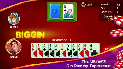 Gin Rummy: Ultimate Card Game App skärmdump #3