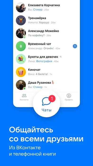 VK Messenger: Live chat, calls Скриншот приложения #1