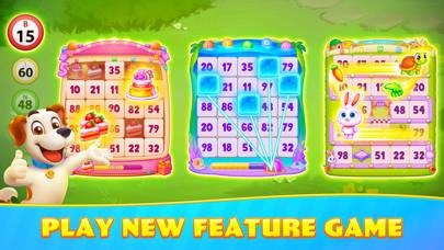 Bingo Journey！Live Bingo Games game screenshot