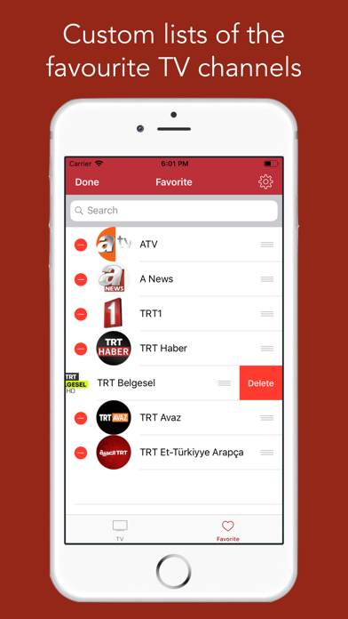 Türk TV App-Screenshot