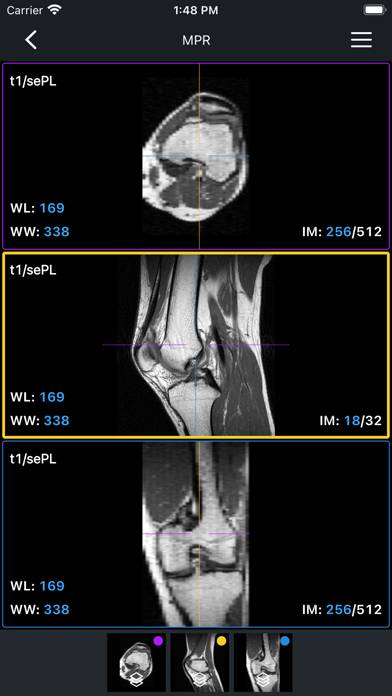 IDV Schermata dell'app