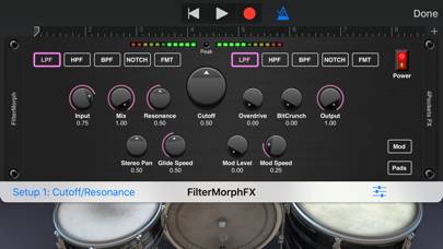 FilterMorph AUv3 Audio Plugin Capture d'écran de l'application #3