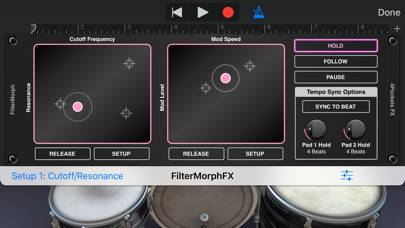 FilterMorph AUv3 Audio Plugin Capture d'écran de l'application #4