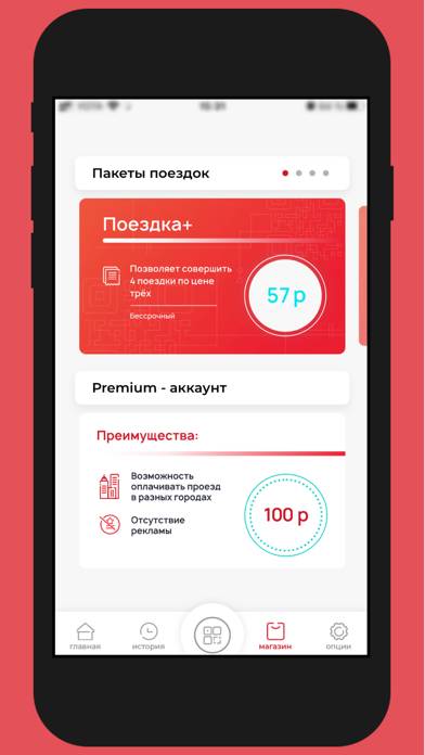 Transport - оплата проезда screenshot