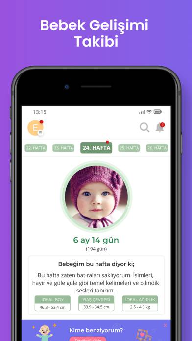 Ultimate Pregnancy Companion App screenshot #2