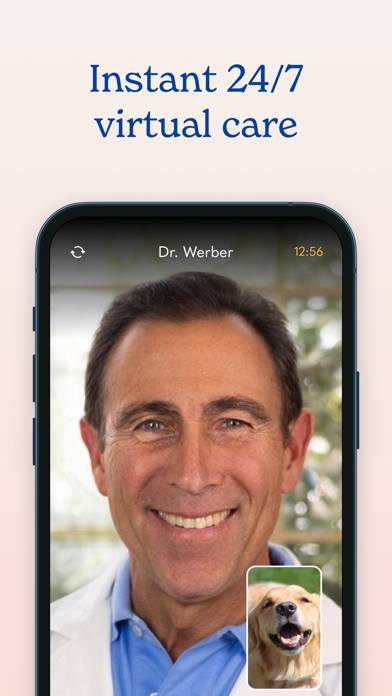 Airvet for Pet Parents App screenshot