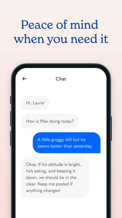 Airvet for Pet Parents App screenshot