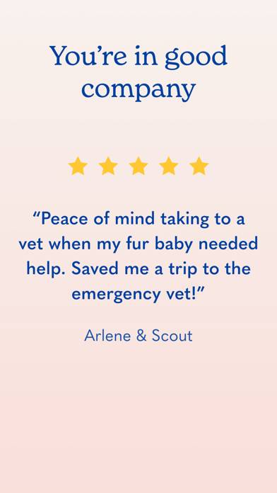 Airvet for Pet Parents App screenshot