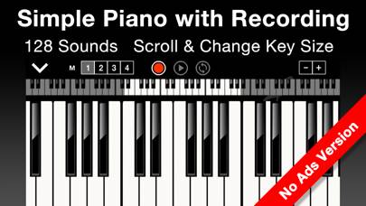 Tiny Piano Synthesizer No Ads App screenshot #1