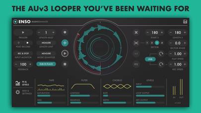 Enso Looper immagine dello schermo