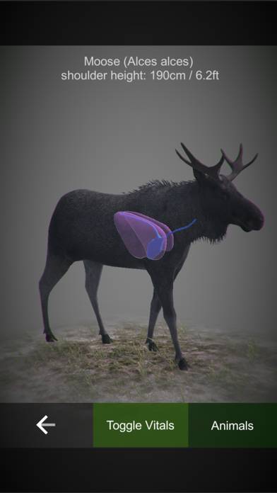 HuntingSim screenshot