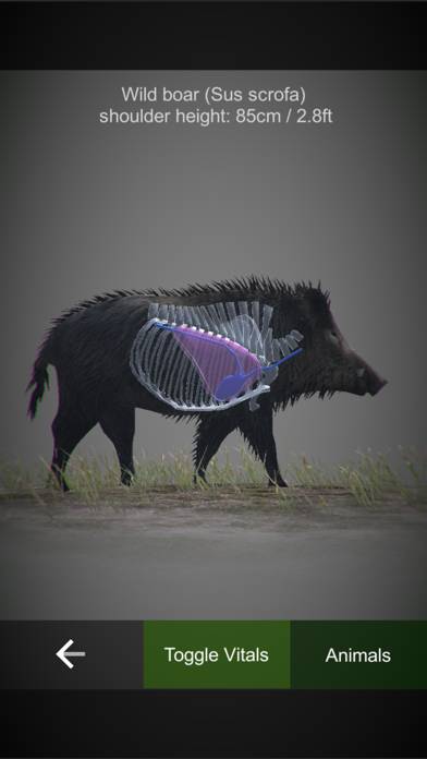 HuntingSim App screenshot