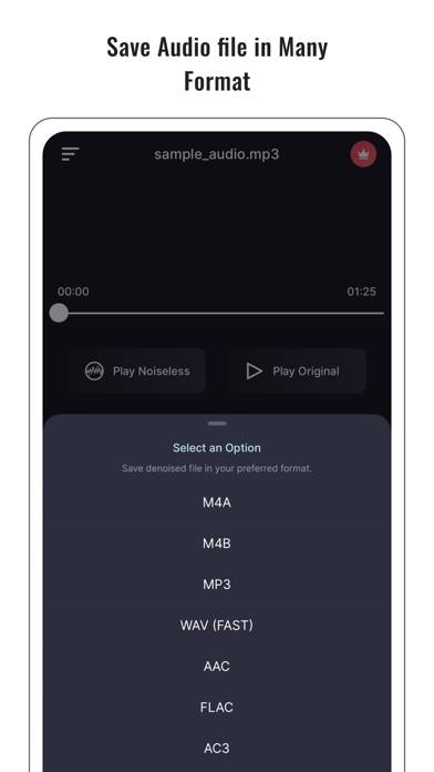 Audio Noise Reducer & Recorder App screenshot #4