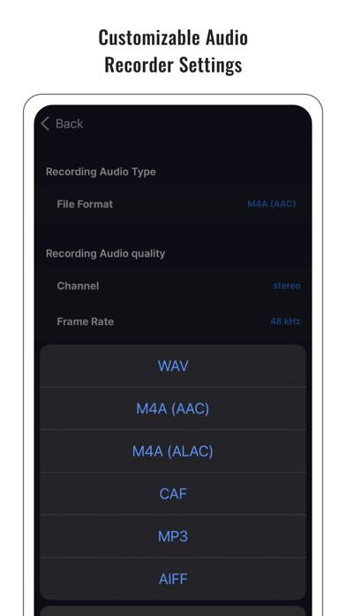 Audio Noise Reducer & Recorder Скриншот приложения #6