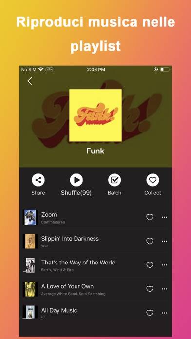 Tuner Radio Pro App-Screenshot #3
