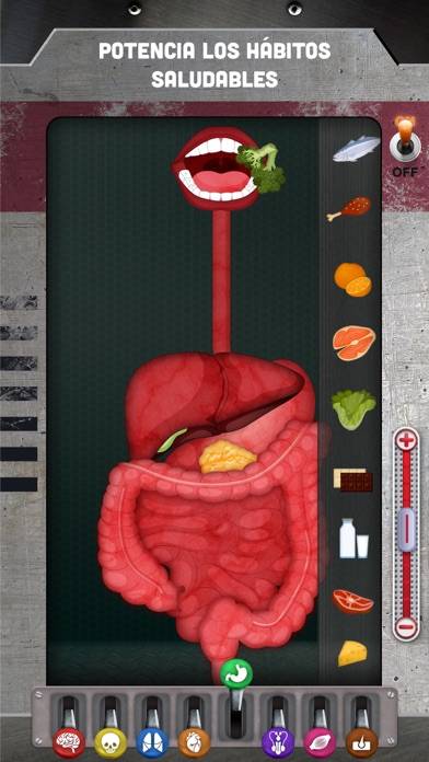 How does The Human Body Work? Schermata dell'app #3