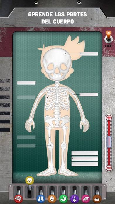 How does The Human Body Work? Schermata dell'app #4