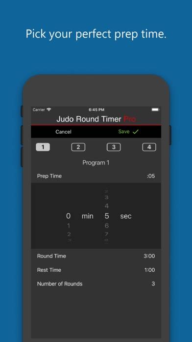 Judo Round Timer Pro Capture d'écran de l'application #3