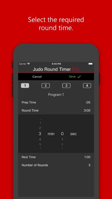 Judo Round Timer Pro Capture d'écran de l'application #4