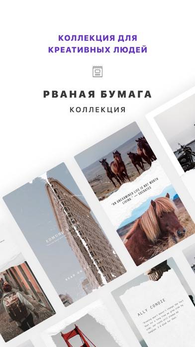 Vostok — Story & Collage Maker