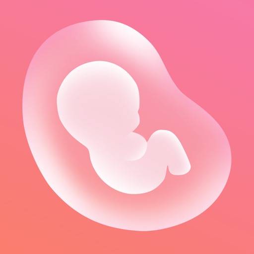 Pregnancy Tracker: Baby Bump Icon