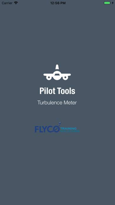Turbulence Meter Capture d'écran de l'application #1