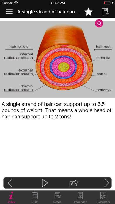 Human Anatomy Hair Facts,Quiz App screenshot