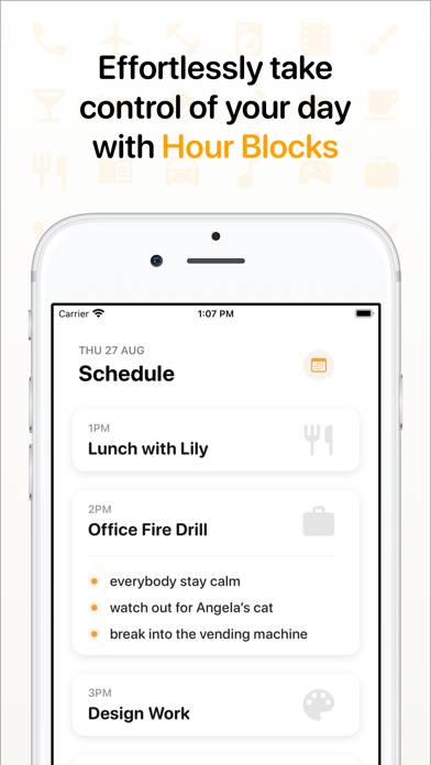 Hour Blocks: Day Planner screenshot