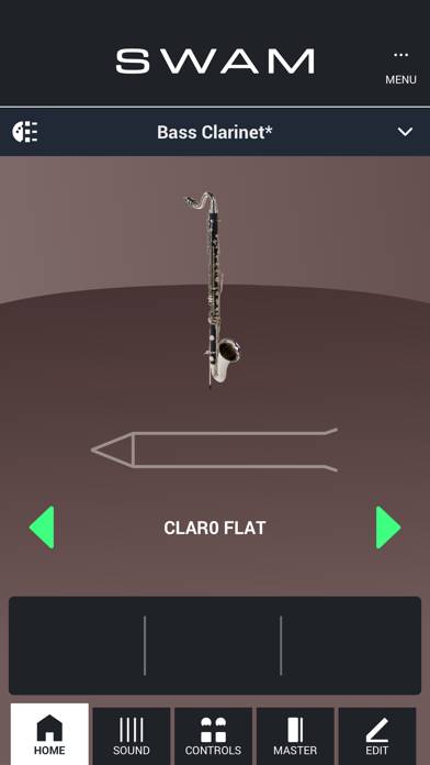 SWAM Bass Clarinet