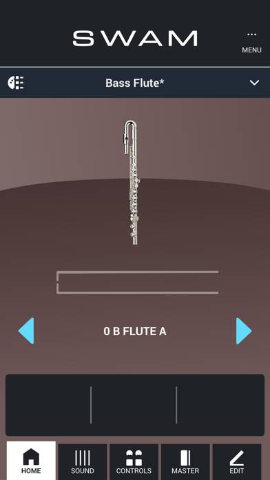 SWAM Bass Flute screenshot