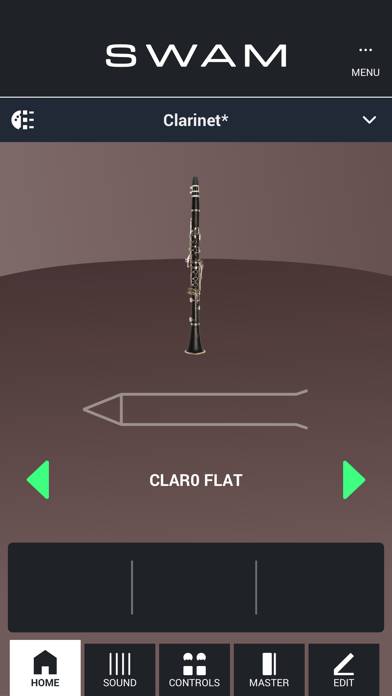 SWAM Clarinet screenshot