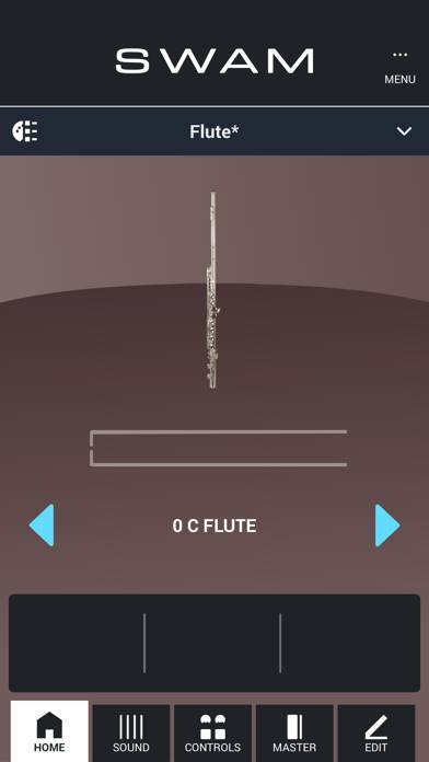 SWAM Flute App-Screenshot #1