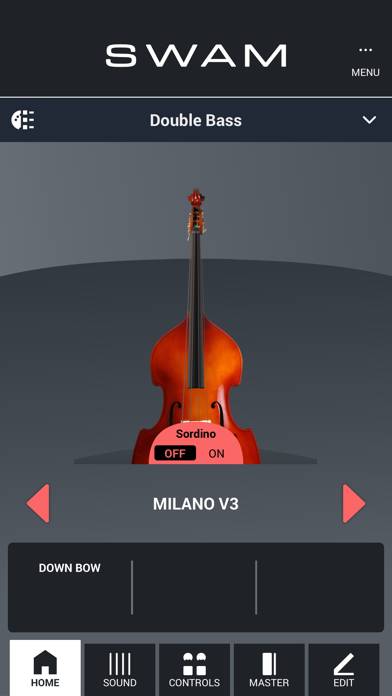 SWAM Double Bass Capture d'écran de l'application #1