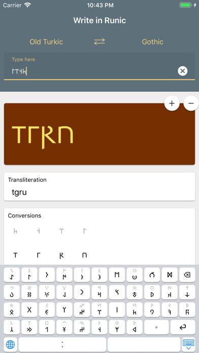 Write in Runic Schermata dell'app