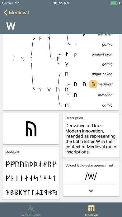 Write in Runic Schermata dell'app