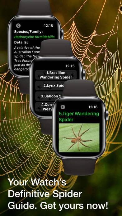 Spiders Guide for Watch Captura de pantalla de la aplicación #3