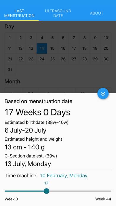 FAST Pregnancy Calculator Uygulama ekran görüntüsü #3