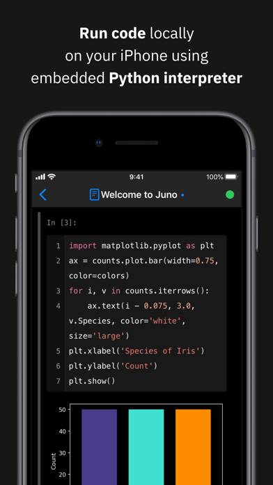 Juno – Python and Jupyter captura de pantalla