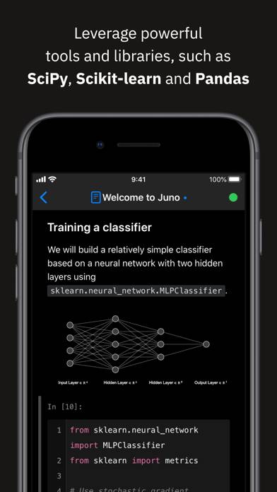 Juno – Python and Jupyter App screenshot