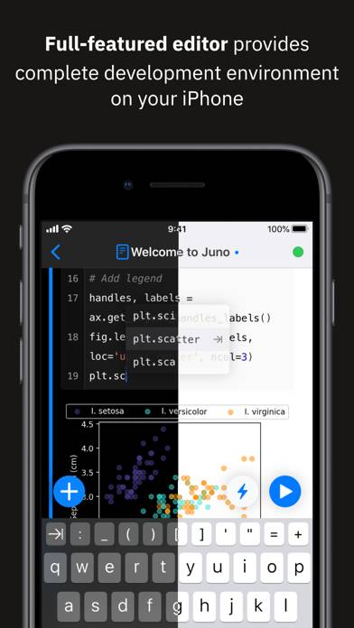 Juno – Python and Jupyter App screenshot #3